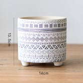 Plant garden balcony flower